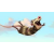 Avatar de loul71