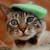 Avatar de arth78